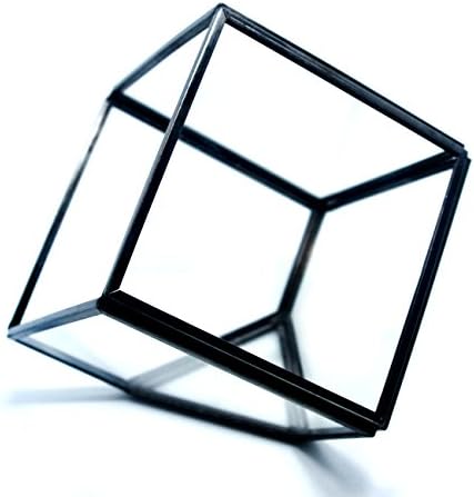 Cvens Clear Glass Terrariums,Geometric Terrariums,Geometric Air plants terrarium,Succulent planters,Artficial Plants Air Plant Geometric Terrariums Holder for Tabletop Succulent Plants Holder