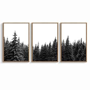 signwin 3 Piece Framed Canvas Wall Art Black...