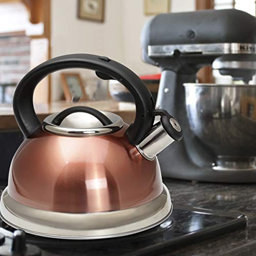 Creative Home 77066 Alexa Stainless Steel Whistling Tea Kettle with