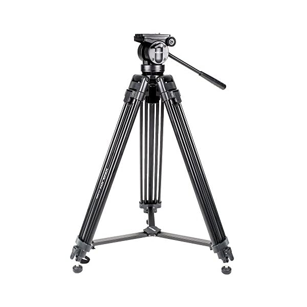 kingjoy VT-2500 Professionelles Video-Stativ, 155 cm, Aluminium, mit fließendem Video-Kopf