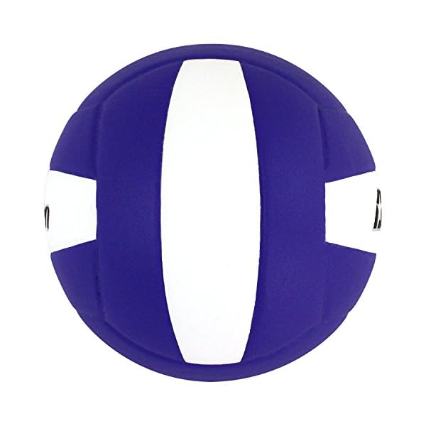 Baden Lexum Composite Game Volleyball