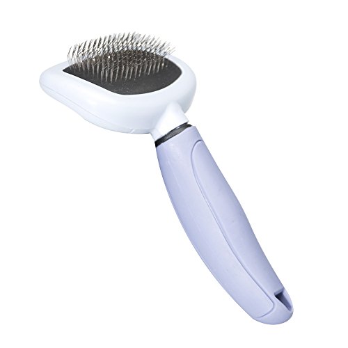 Best Slicker Brush for Dogs (For All Sizes, Coats & Breeds)