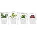 MyGift Artificial Assorted Mini Succulents Plants in Modern White Cube Shaped Ceramic Planter Pots, Set of 4 / Small Potted Colorful Faux Succulent Plants