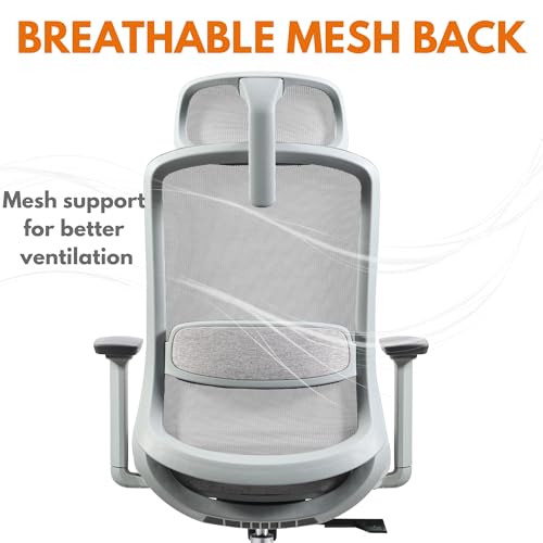 Skyland Ergonomic Office Chair with Mesh Backrest, Soft 3D Armrests, Desk chair with lumbar support, Executive Computer Chair for Home Office (Grey)
