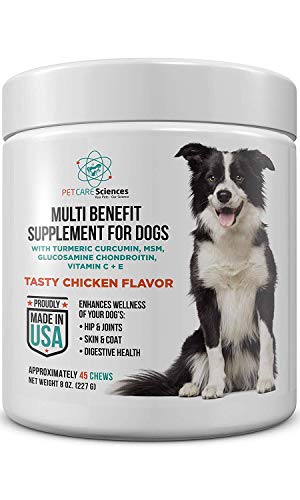 Daily Dog Multivitamin Supplement for Senior Dogs Hip and Joint, Skin and Coat, Digestive Health Supplement with Turmeric Curcumin, MSM, Glucosamine Chondroitin, Vitamin C, Vitamin E Made in The USA