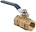 Dixon FBVG100 Brass Ball Valve, 1