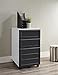 Ameriwood Home Altra Pursuit Mobile File Cabinet, White/Gray