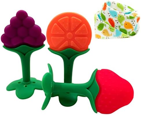 Teenie Greenie Baby Premium Sensory Teething Toy &amp; Organic Cotton Bib Gift Set (Birds)