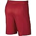NIKE Men's HBR Basketball Shorts