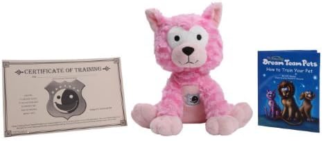 Dream Team Pets Child Sleep Training Magical Cat Bedtime Routine