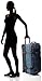 Dakine Women's Split Roller Bag