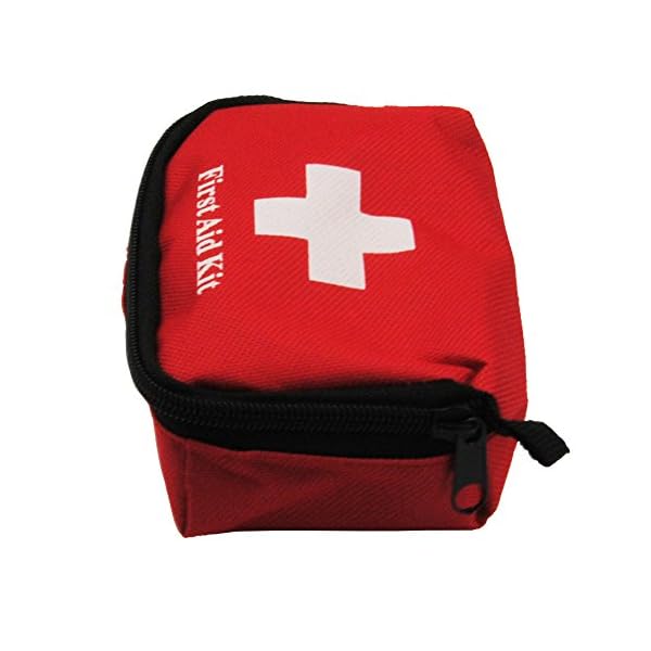 Coscelia-Mini-Outdoor-Camping-Hiking-Survival-Travel-Emergency-First-Aid-Kit-Bag
