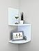 Ballucci Large 2 Tier Corner Shelf Wall Mount, 12