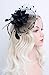 Fascinators Hats for Womens 50s Headwear with Veil Flower Cocktail Wedding Tea Party Church Derby Hat(1A-Black)