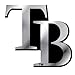 MLB Tampa Bay Rays Chrome Automobile Emblem