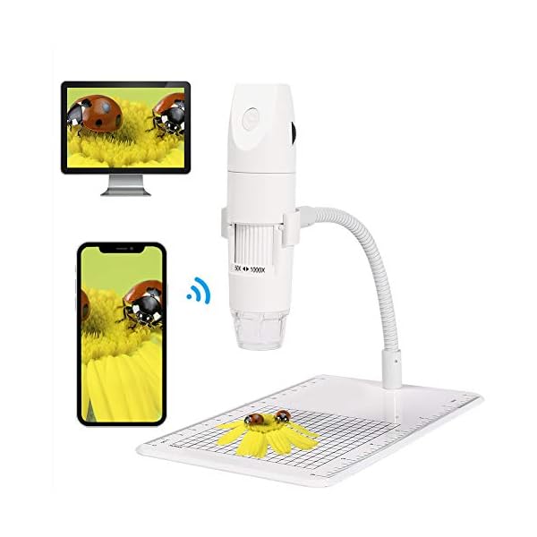 WiFi Digital Mikroskop,KNMY Drahtloses Digitales Mikroskop 50-fache bis 1000-fache Vergrößerung,8 Einstellbare LED…