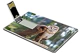 Luxlady 32GB USB Flash Drive 2.0 Memory Stick Credit Card Size cute owl IMAGE 19246206