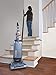 Hoover WindTunnel T-Series Pet Bagged Upright Vacuum Cleaner, UH30310