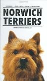 Norwich Terrier