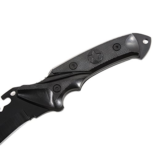 Coleman Fixed Blade Knife, Hunting and Fishing Knife with Plastic