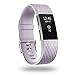 POY Replacement Bands Compatible for Fitbit Charge 2, Classic & Special Edition Sport Wristbands, Large Lavender, 1PC