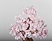 Tesco store Natural Rose Quartz Crystal Money Tree Bonsai Style Decoration （Wealth and Luck）