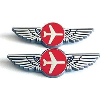 Amazon.com: Aviator Kids Airplane Flight Attendant Uniform ...