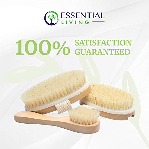 Essential Living 3Piece Dry Brushing Spa Kit 1 Face Brush, 2 Body Scrub Brushes and a Cotton