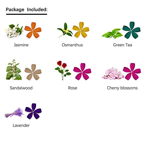3 OTOFY+Backflow+Osmanthus+Lavender+Sandalwood