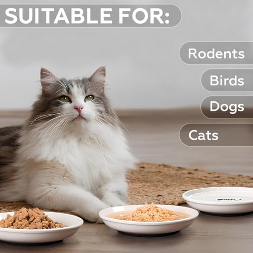 AMROAH 3pcs Cat Food Bowl Set Dishes for Indoor Cat & Kitten, Wide Anti Whisker Fatigue Heavy Non-Slip Ceramic Cat Bowls Plate for Dry Wet Food & Water Home Outdoor