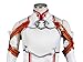 DAZCOS US Size Women's Anime Cosplay Costume Outfit with Arm and Leg Sleeves (Medium)