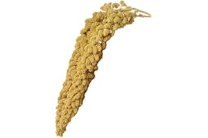 Birds LOVE Spray Millet – 9 oz GMO-Free, No Stems (Only Edible Tops) – Healthy Treat for Parakeets, Cockatiels, Finches, Canaries & Lovebirds