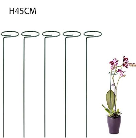 Kasfam Soporte perenne Flores, Soporte de celosía de Vid, jardín ...