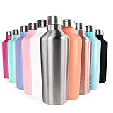Alpine Double Wall Insulated Tumbler Water Bottle & Thermos - Heavy Duty Stainless Steel- 16.9 oz - Stainless Steel