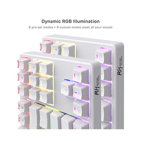 RK-ROYAL-KLUDGE-Sink87G-RGB-80-Mechanical-Keyboard-Wireless-24G-Tenkeyless-Mechanical-Keyboard-with-Macro-Setting-87-Keys-Tactile-Brown-Switches-White RK ROYAL KLUDGE Sink87G RGB 80% Mechanical Keyboard, Wireless 2.4G Tenkeyless Mechanical Keyboard with Macro Setting, 87…