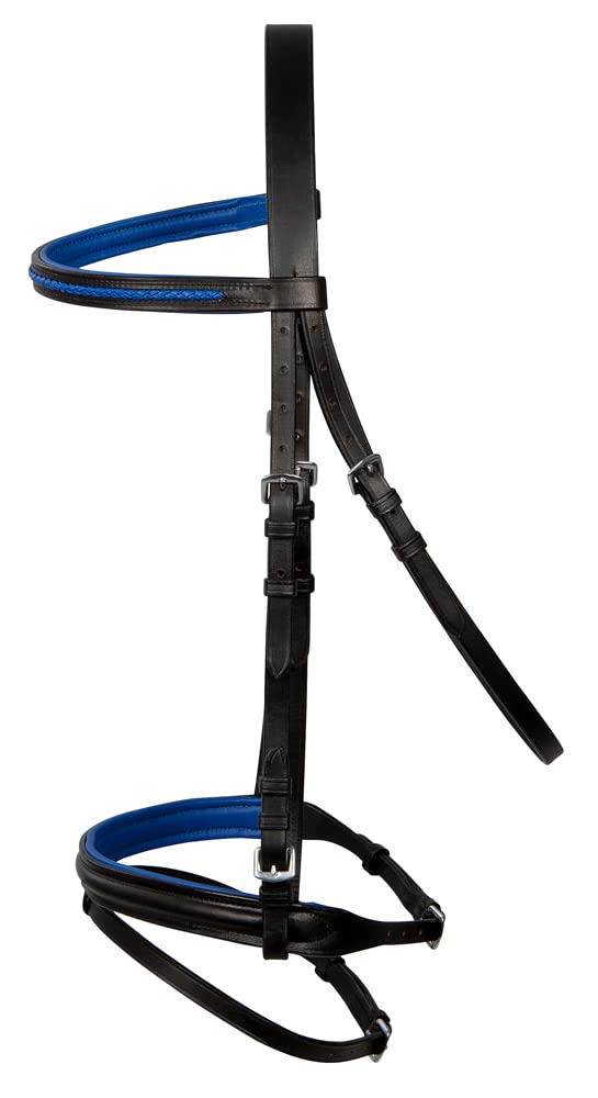 PFIFF Basicline Bridle, Black/Blue Cob