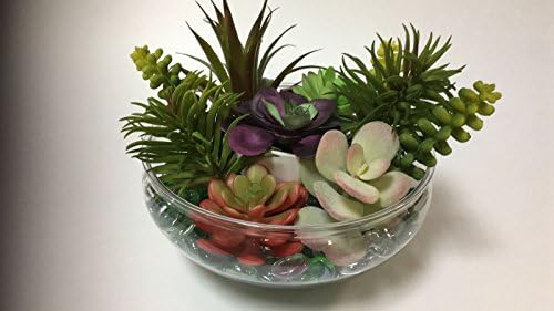 Terrarium Kit Includes Glass Bowl,Succulent Plants &amp; Clear Accent Gems