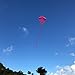 In the Breeze 2994 — Pink Diamond Kite, 30-inch, Easy-Flying Kite for Kids, Teens, Adults