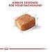 Royal Canin Dachshund Adult Breed Specific Dry Dog Food, 2.5 lb bag