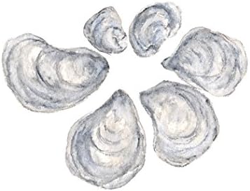 Watercolor oyster beach themed print