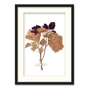 Black Paper Framed Canvas Wall Art for Living Room, Bedroom Simple Beautiful Leaves Canvas Prints for Home Decoration Ready to Hanging - 23x31 inches