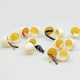 Xiaolanwelc@ 24Pcs/Pack Scare Toys Artificial Bird Eggs Fake Maggot Bugs Lizard Centipede Kids Halloween Prank Party Props Favor Accessories