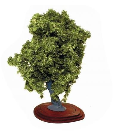 Oak Tree - Mature