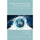 A Neurophenomenology of Awe and Wonder: Towards a Non-Reductionist Cognitive Science (New Directions in Philosophy and Cognitive Science)