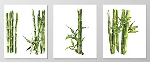Bamboo wall art #A078 - Set of 3 art prints(8x10 ).Living room wall art.Poster.Bamboo pictures.Bamboo artwork.Green wall art.Nature wall art.Art prints for living room.Bamboo painting