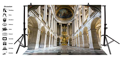 LFEEY 5x3ft Interior of Old Cathedral Backdrop Photography Background Magnificent Church World Famous Scenery Religious Belief Wedding Shooting Backdrop Children Kids Adults Portraits Photo Studio