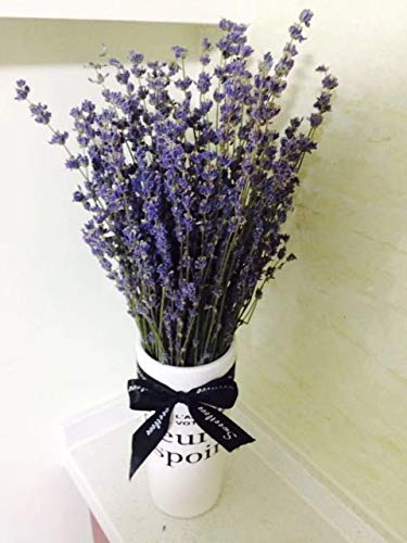 French Dried Lavender Flowers Bunch Fragrant 100gr By Drieddecor Com Amazon In Home Kitchen