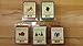 EcoScents 100% All Natural Soy Wax Melts - 