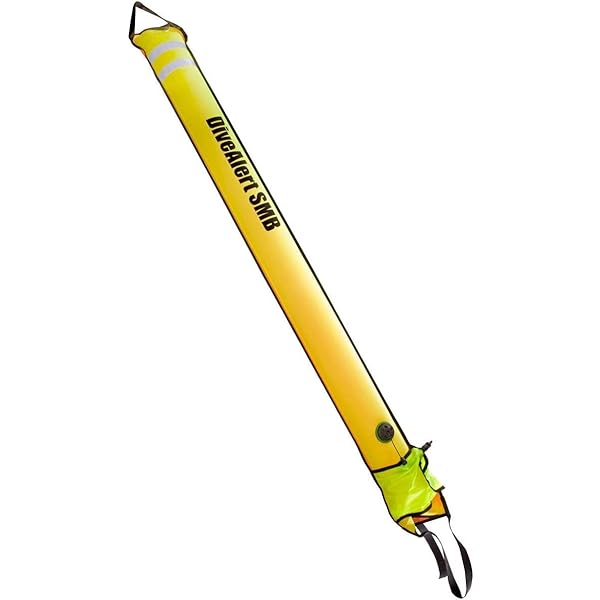 ASYストアDive Rite XT Advanced Open Water Regulator Package, Yoke or DIN