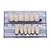WECANDO 168 Pcs Dental Synthetic Resin Tooth Denture 6 Sets False Teeth for Halloween Horror Teeth 23 A2